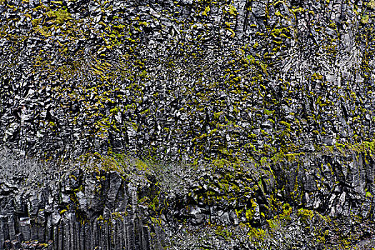 苔藓,火山岩,冰岛