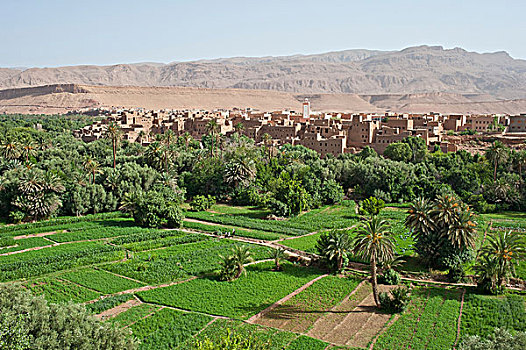 绿洲,风景,地点,砖坯,乡村,清真寺,大阿特拉斯山,丁奈理尔,摩洛哥,非洲