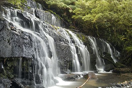 瀑布,南岛,新西兰
