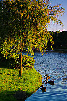 厦门大学