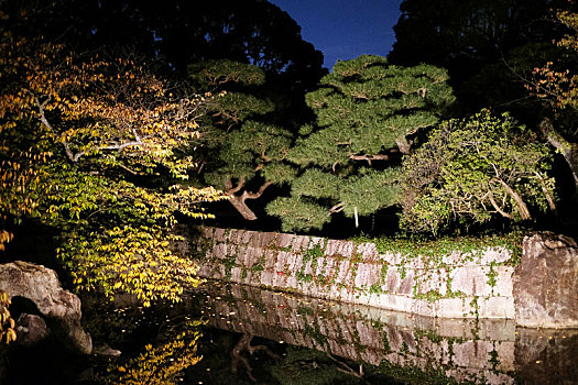 世界文化遗产日本京都二条城夜景及灯光秀