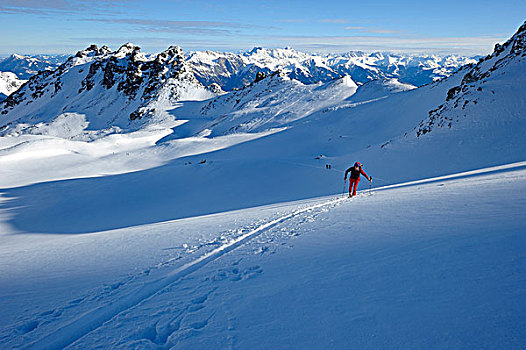 背影,滑雪,正面,全景,山,顶峰,库尔,格劳宾登州,瑞士,欧洲