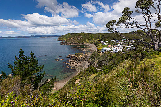 风景,靠近,岛屿湾,新西兰