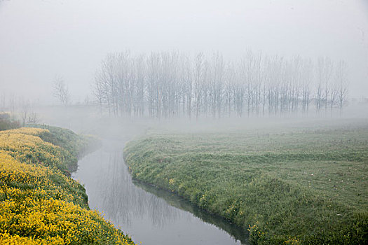 清晨河边雾
