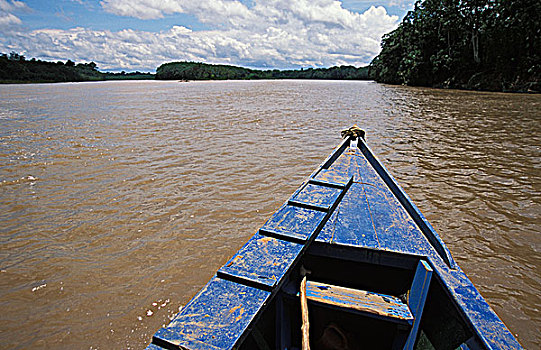 河船,靠近,玛努国家公园,秘鲁