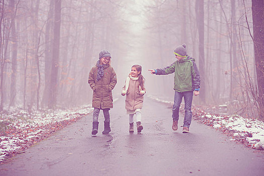 三个孩子,兄弟姐妹,走,木头,雾,冬天,天气,巴登符腾堡,德国,欧洲