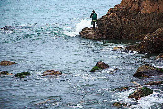 礁石,劳作,采挖,贝壳,海浪