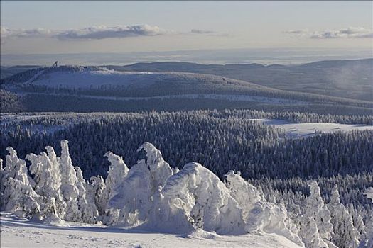 布罗肯,山,上方,冬季风景,积雪,萨克森安哈尔特,德国