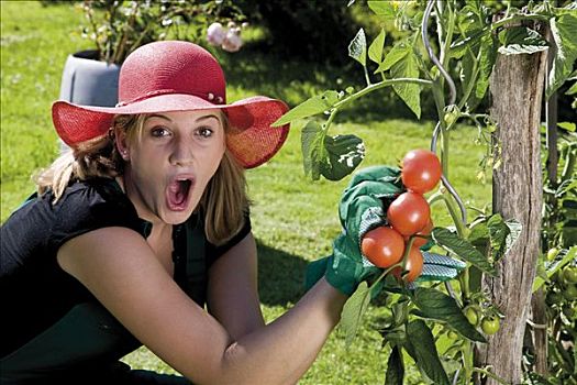 吃惊,女性,园丁,收获,西红柿