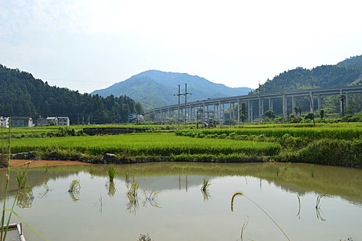 乡村美景