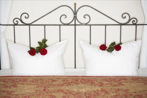 两个,枕头,装饰,玫瑰,床,金属,床头板