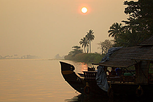 船,水上,日出,喀拉拉,印度