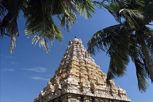 仰视,庙宇,泰米尔纳德邦,印度