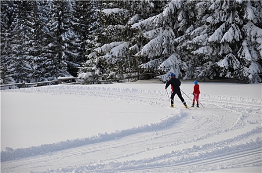 父亲,儿子,劳芬,滑雪