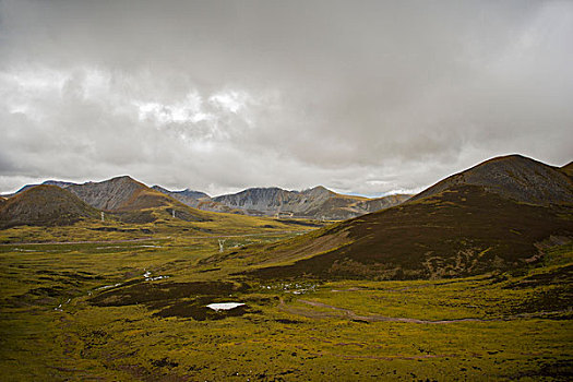 米拉山口景色