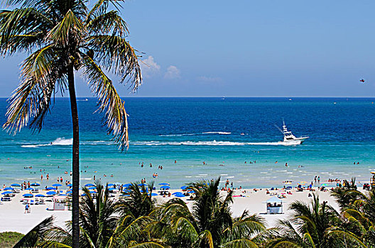帆伞运动,迈阿密,南,海滩,艺术,地区,佛罗里达,美国