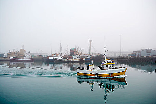 小船,航行,雷克雅未克,港口,冰岛