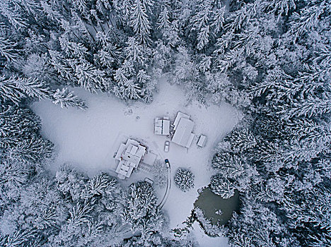 乡村,积雪,风景,俯视