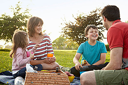家庭,父母,两个孩子,户外,夏天,野餐