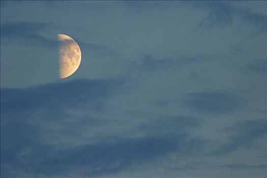 云,晚上,天空,遮盖,局部,月亮