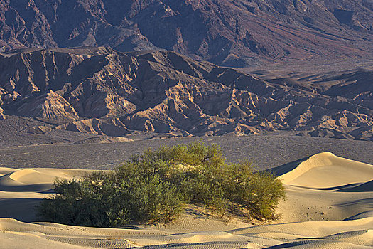 沙丘,沙漠,葬礼,山峦,死谷,死亡谷国家公园,加利福尼亚,美国