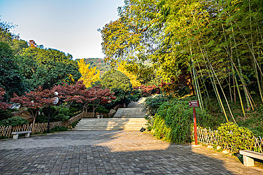 湖南长沙岳麓山秋冬景色