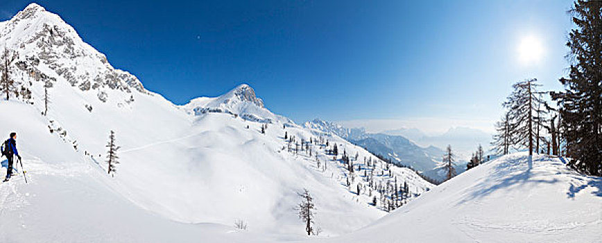 滑雪,登山,阿尔卑斯山,上奥地利州