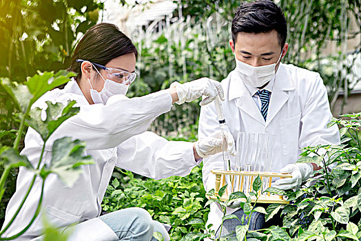 正在大棚里进行科学研究的青年男女