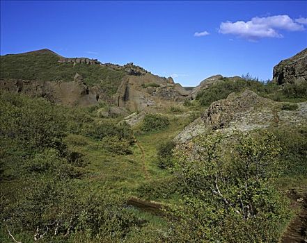 岩石构造,玄武岩,国家公园,冰岛
