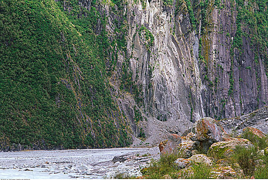 狐狸,河,峡谷,西区国家公园,南岛,新西兰