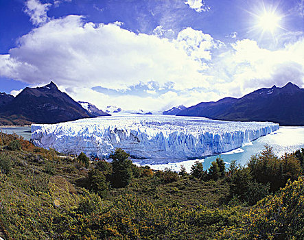 阿根廷,巴塔哥尼亚,国家公园,冰川,冰河,冰川冰,阿根廷湖