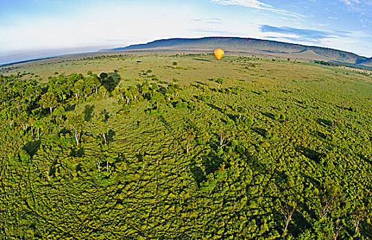 麦赛-玛拉国家公园,肯尼亚,气球,乘,旅游,早晨,马赛马拉,俯视,篮子