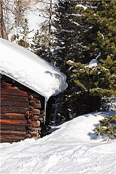 雪堆,房顶,冷杉,白云岩,意大利