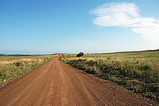 道路,地平线,南非