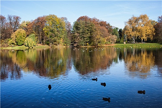 秋天,公园,华沙