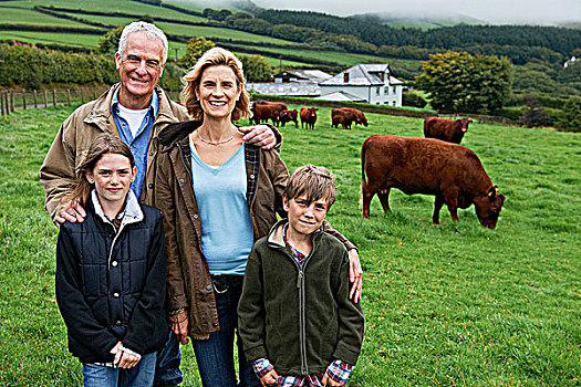 家庭,农场,土地,母牛