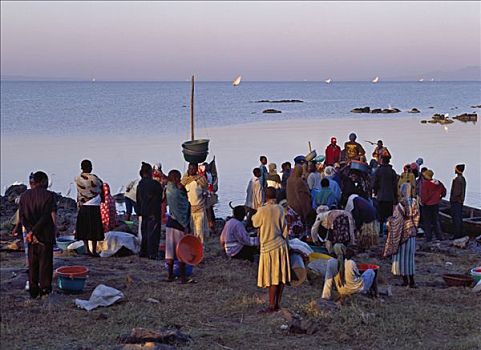 肯尼亚,早晨,女人,聚集,岸边,维多利亚湖,买,鱼,捕鱼者,家,日出,灯,夜晚