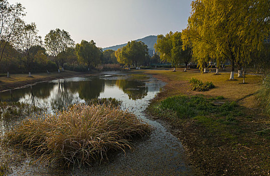 深秋的长广溪湿地