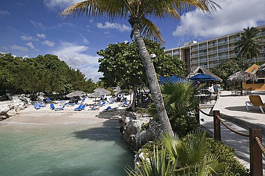 湾,酒店,荷属列斯群岛,加勒比海