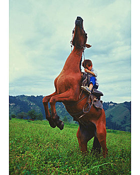 草地,新疆,男孩,骑,马