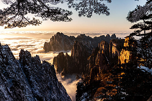 中国安徽黄山风景区,冬日雪后放晴,夕阳映照山崖云雾飘渺宛若仙境