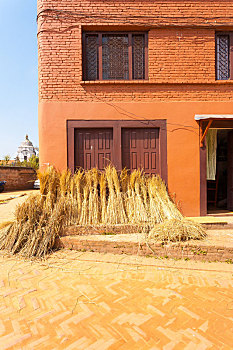 尼泊尔,捆绑,稻草,丰收,房子