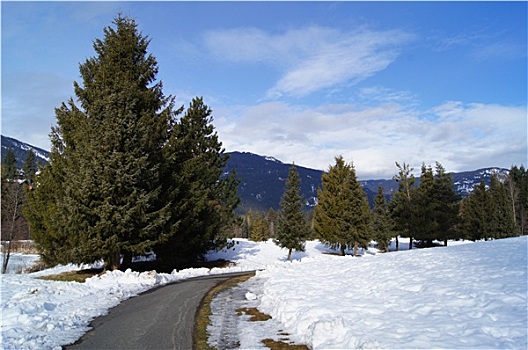 道路,滑雪胜地