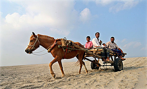 马,手推车,轮胎,轮子,只有,靠近,河,健身,交通工具,孟加拉,四月,2008年