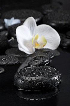 放在桌子上的spa能量石