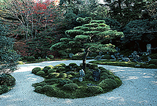 日本,京都,盆景,禅园