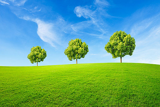 绿色草地和天空景观