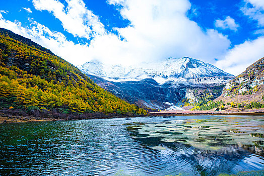 稻城亚丁秋色,秋季风光,高原雪山摄影,四川,甘孜州,秋天风景,自然风光摄影,仙乃日,央迈勇,夏诺多吉,三大神山,2020年