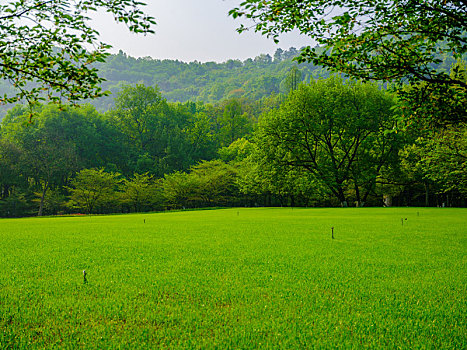 杭州,风光