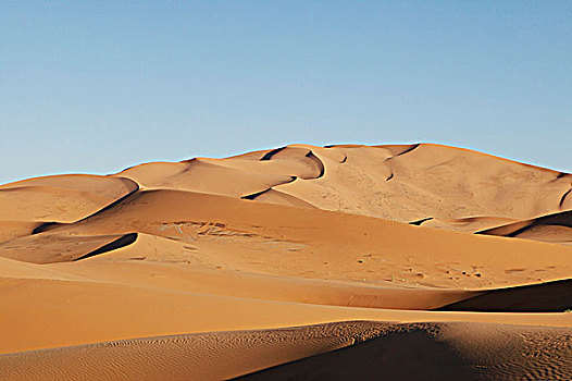 沙丘,沙滩,摩洛哥